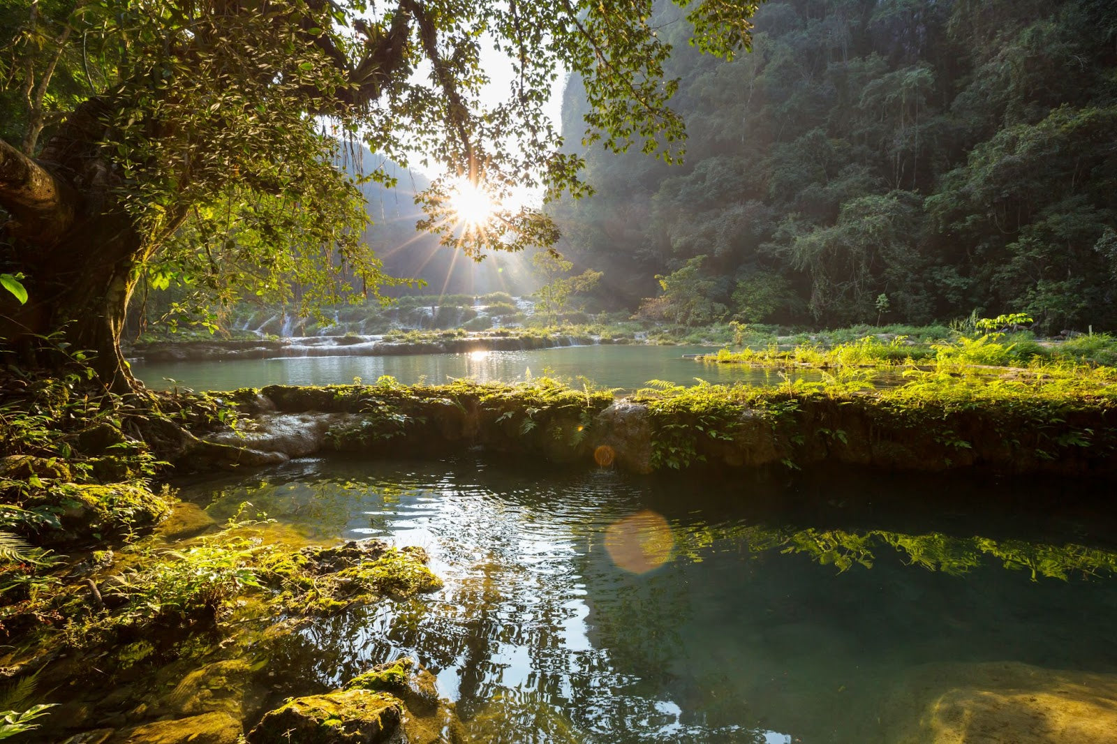 Unlocking Vitality Naturally: The Science Behind Primal Youth